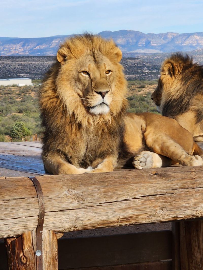 A Day Trip Made for Curious Kids and Grown-Ups Alike