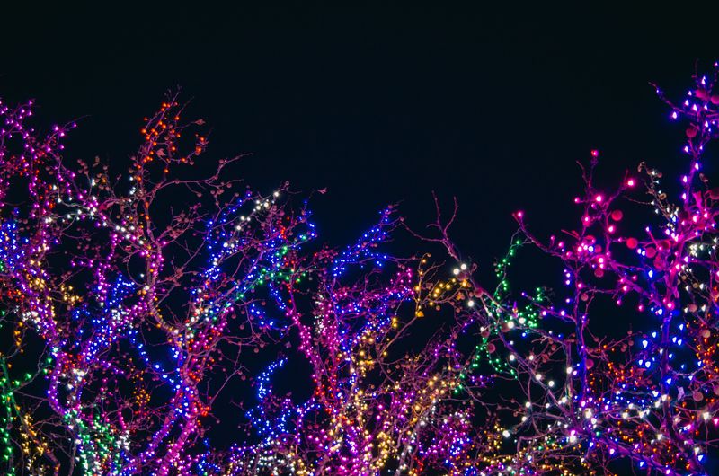 A Dazzling Light Show Closes The Evening