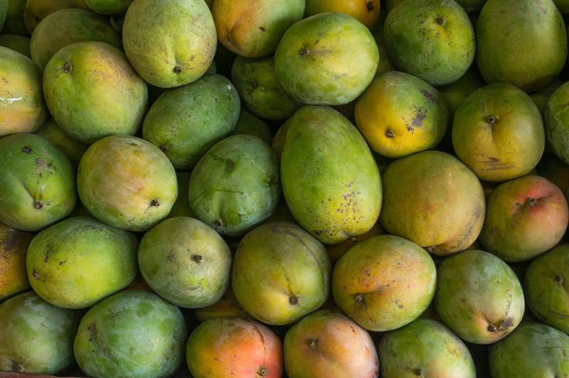 A Deep Dive Into August Mango Season