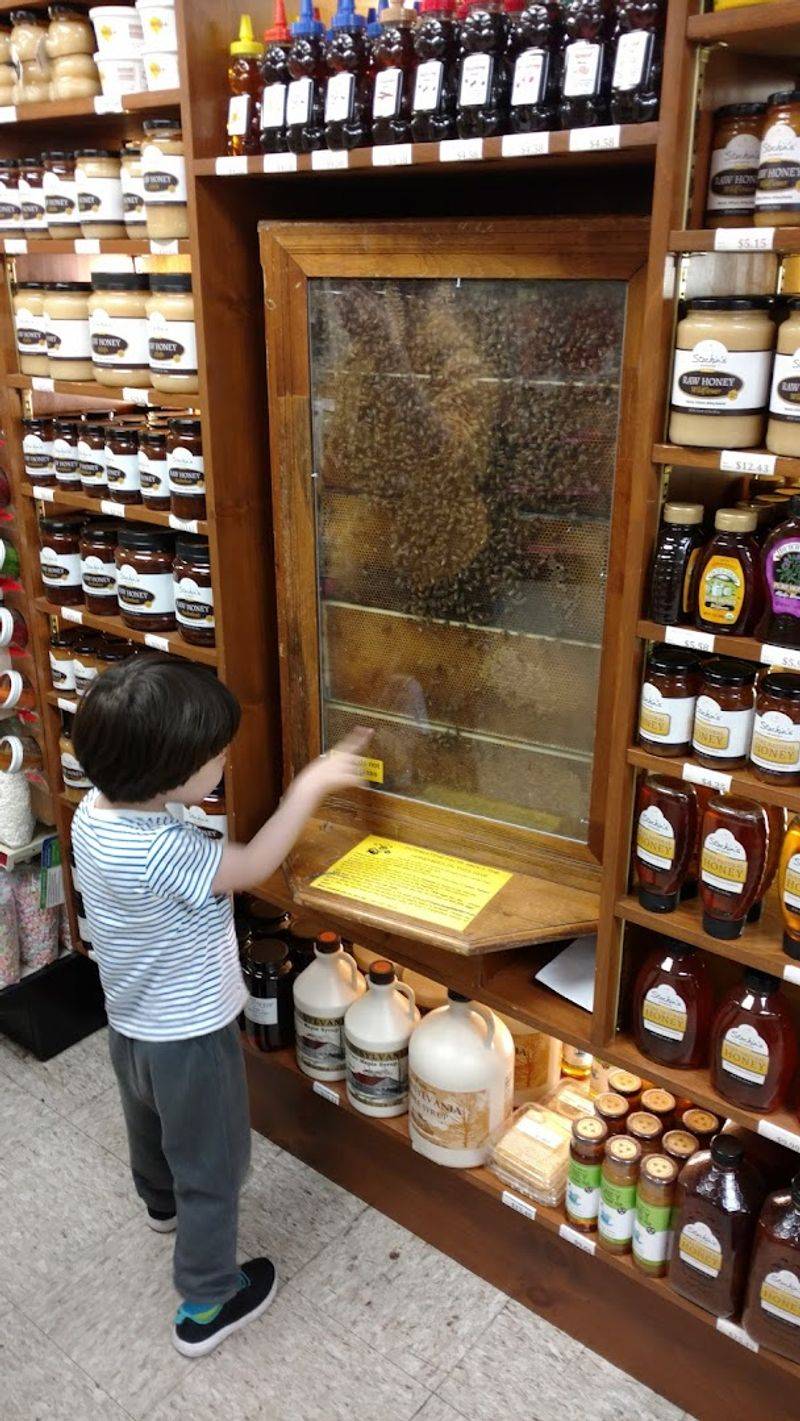 Seasonal Activities That Make Every Visit Feel Different