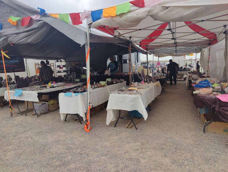 A Desert Bloom Of Bargains