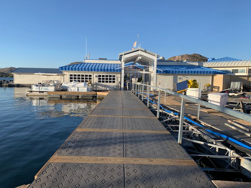 Wild Burros That Think They Own The Place