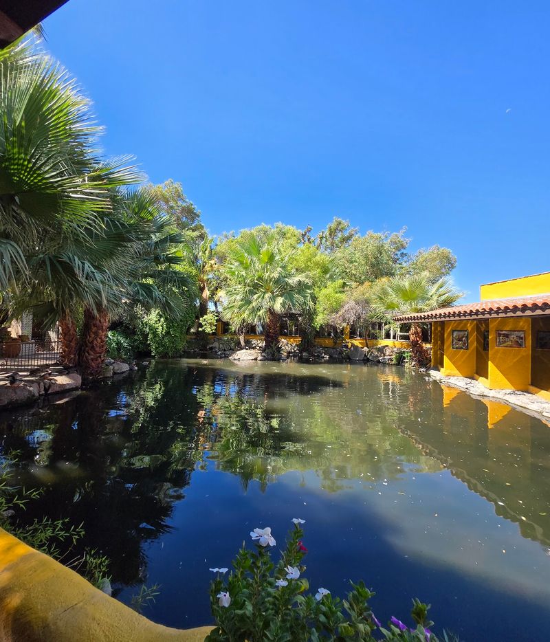A Desert Oasis in Cave Creek A Desert Oasis in Cave Creek