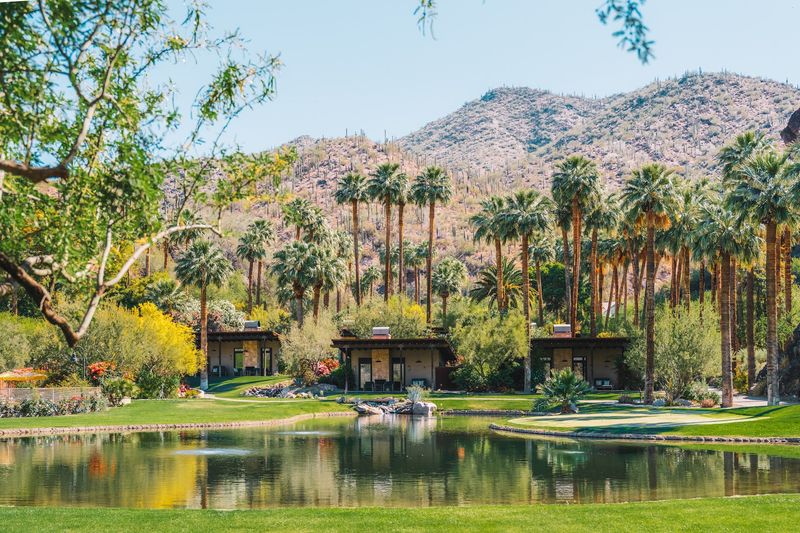 A Desert Oasis in the Bradshaw Foothills
