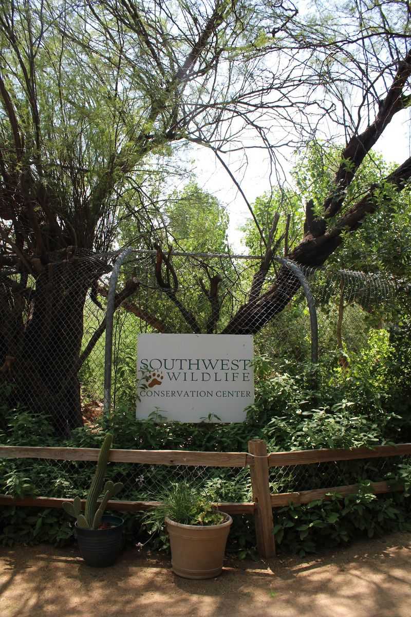 A Desert Refuge on the Edge of Scottsdale A Desert Refuge on the Edge of Scottsdale