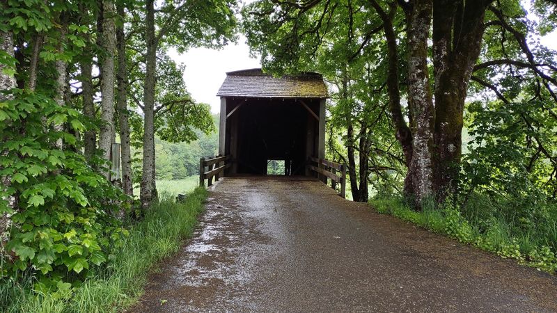 A Detour Worth Every Mile