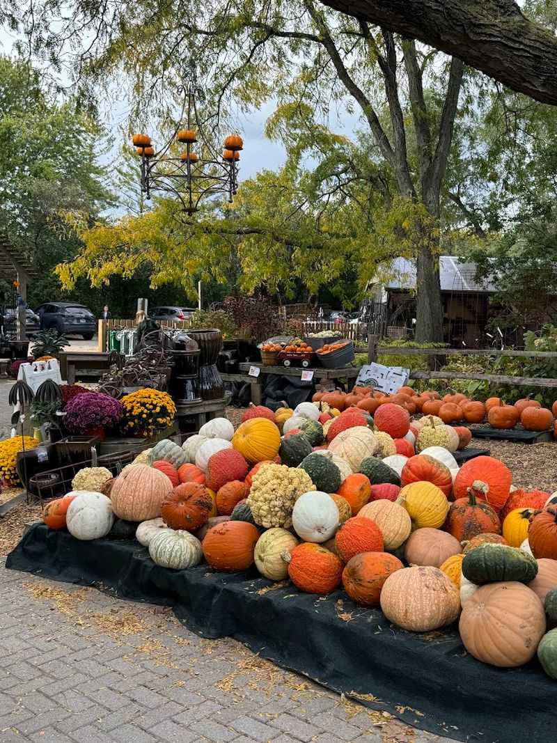 A Different Mood Every Season