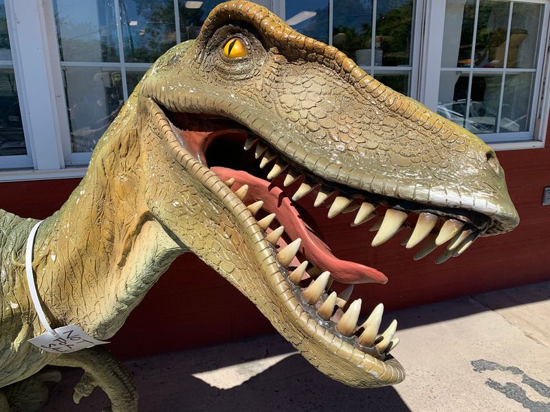 A Dinosaur Standing Guard By The Entrance A Dinosaur Standing Guard By The Entrance