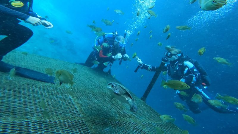 A Diving Bell And Statues Deep Below