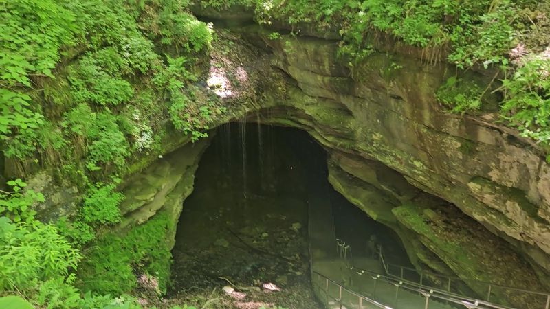 A Doctor Once Bet Big On Cave Air As Medicine