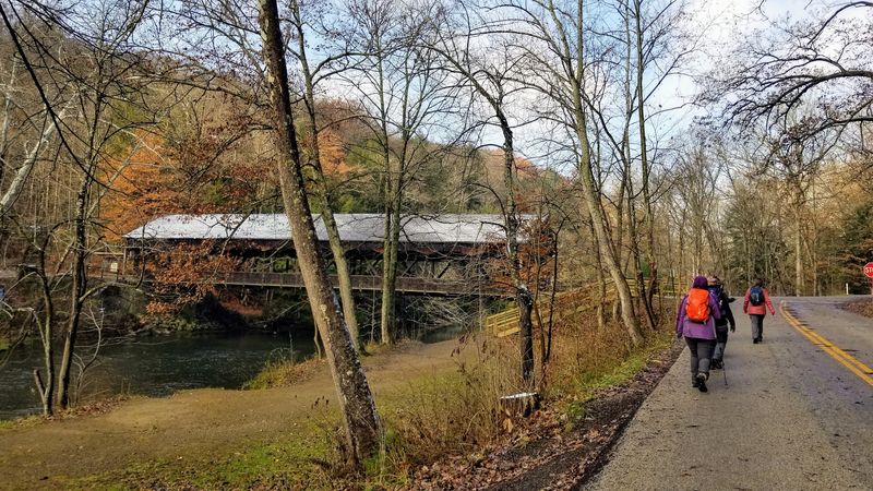 A Dog-Friendly Destination Worth Knowing About