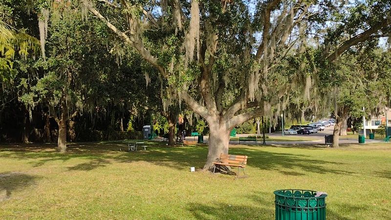 A Dog-Friendly Gathering Spot