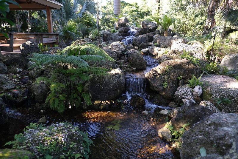 A Dog-Friendly and Picnic-Perfect Spot