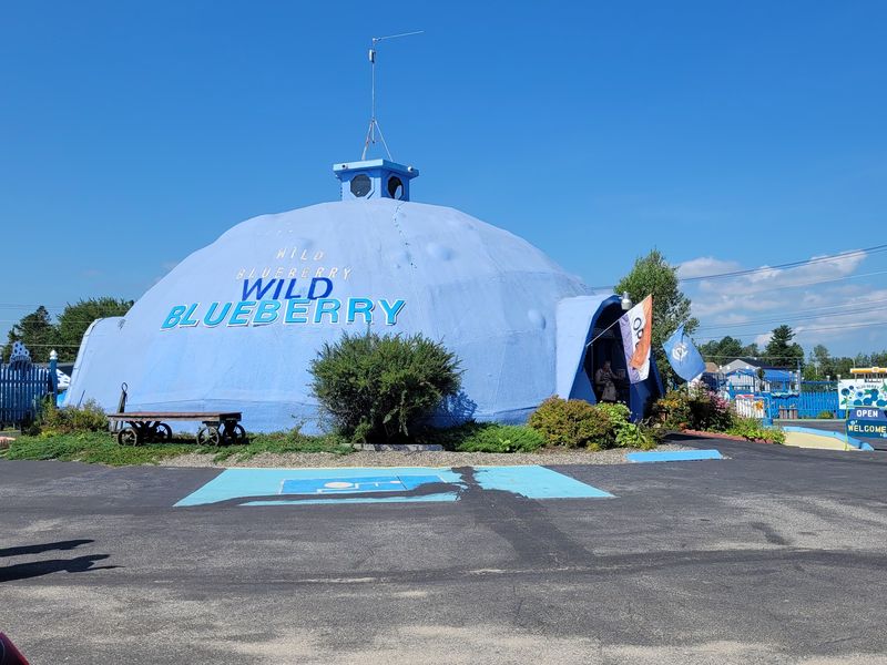 A Dome You Cannot Miss