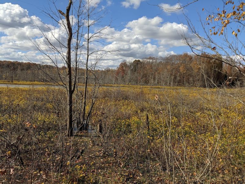 A Downstate Setting That Changes the Pace A Downstate Setting That Changes the Pace