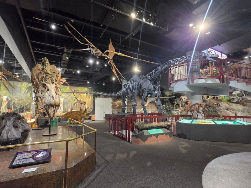 A Downtown Museum That's Bigger On The Inside