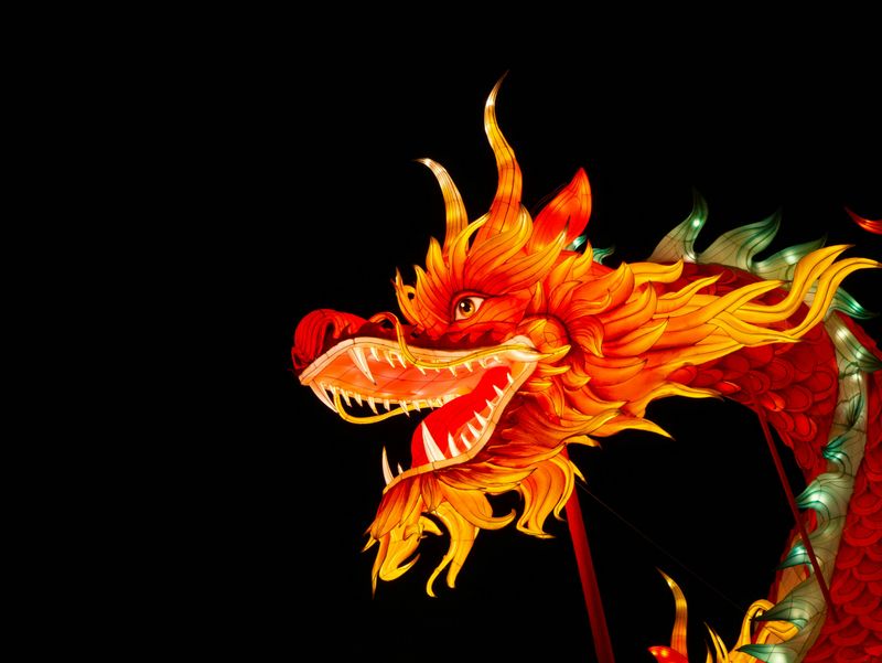 What To Know Before You Go