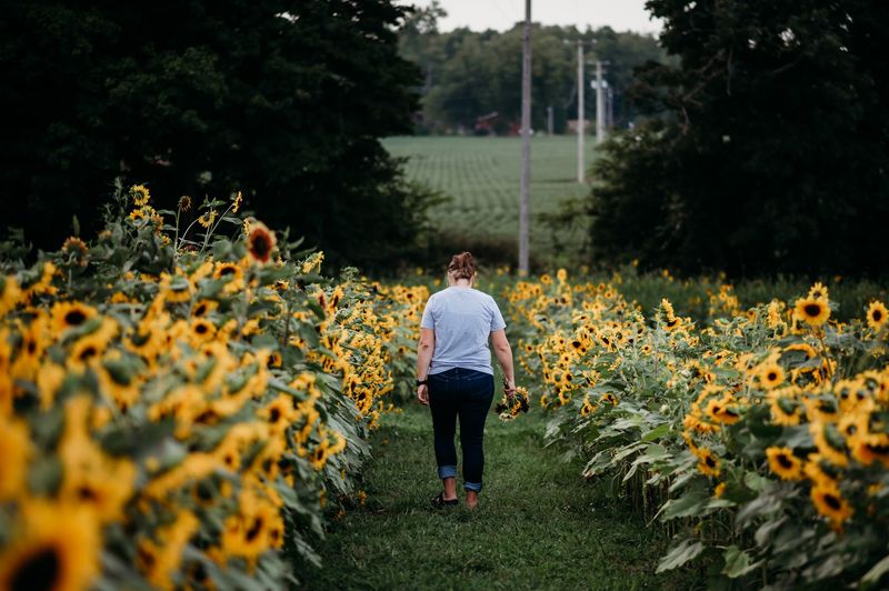 A Dream Rooted In The Farm