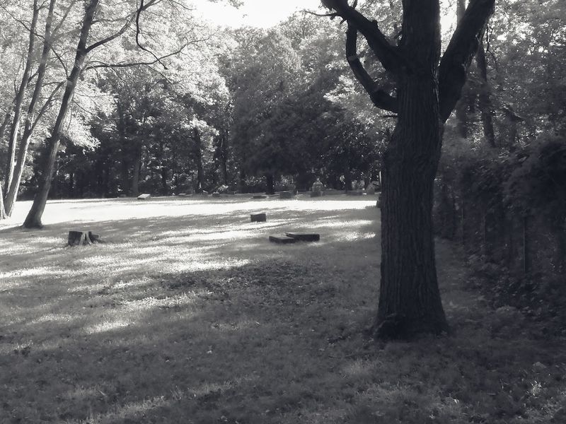A Dreamy Spot For Moody Photos