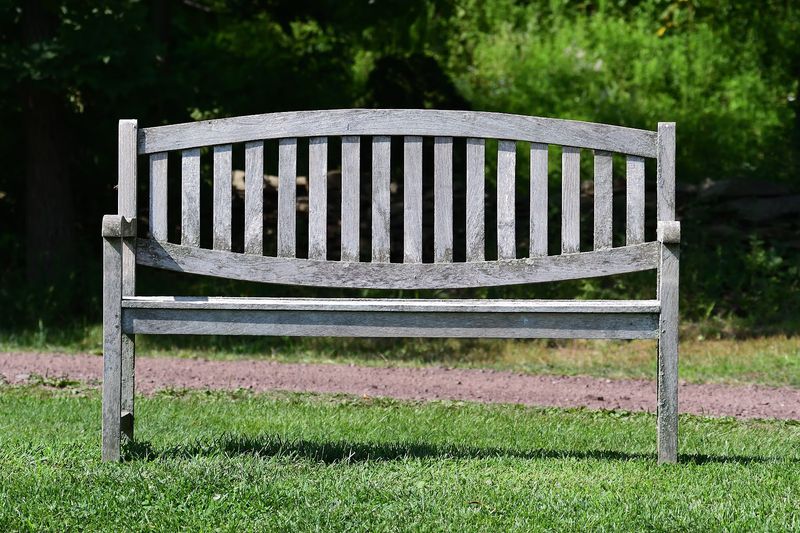 The Farm Is Dog-Friendly With Leash Rules In Place