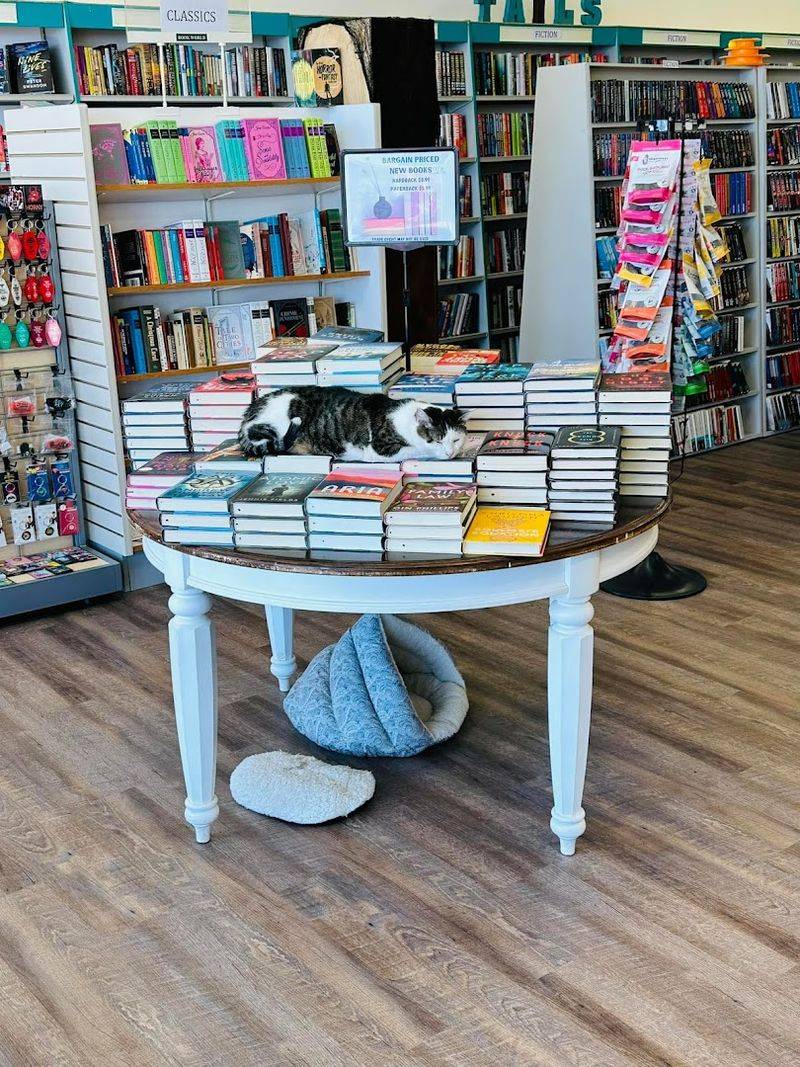 The Blind Date With A Book Concept