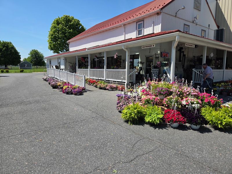 A Family Bakery With Deep Farm Country Roots
