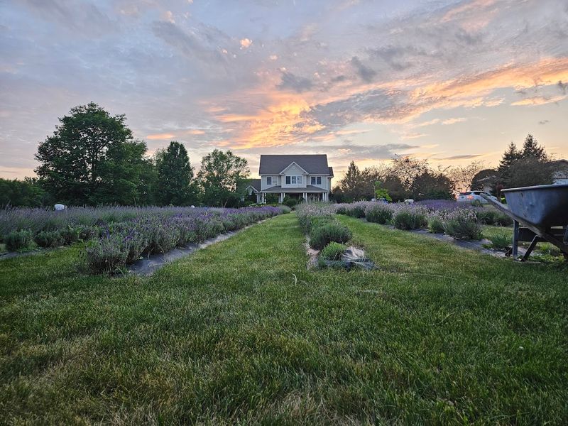 Open Three Days A Week 