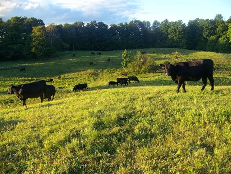 A Family Farm With Over A Century Of Roots