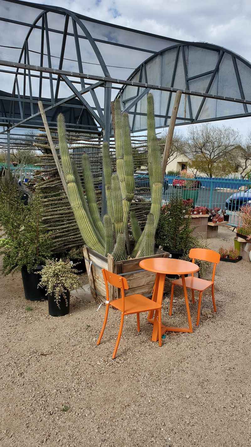 A Family-Friendly Destination Beyond Just Plants A Family-Friendly Destination Beyond Just Plants