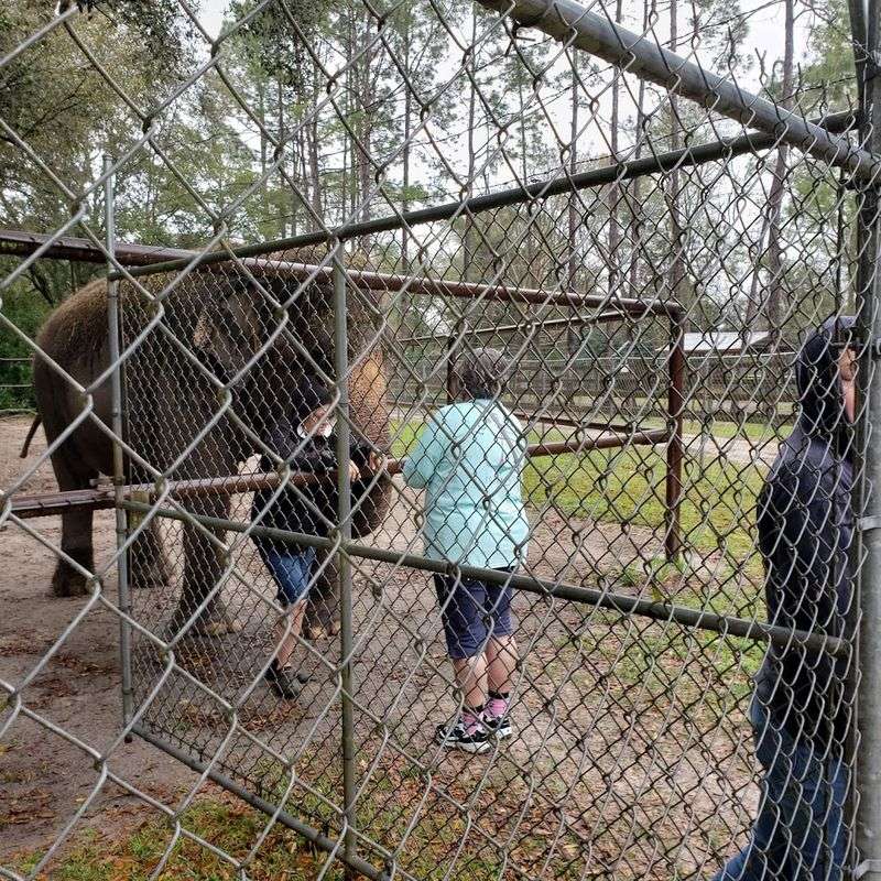 Educational Tours That Challenge Your Assumptions