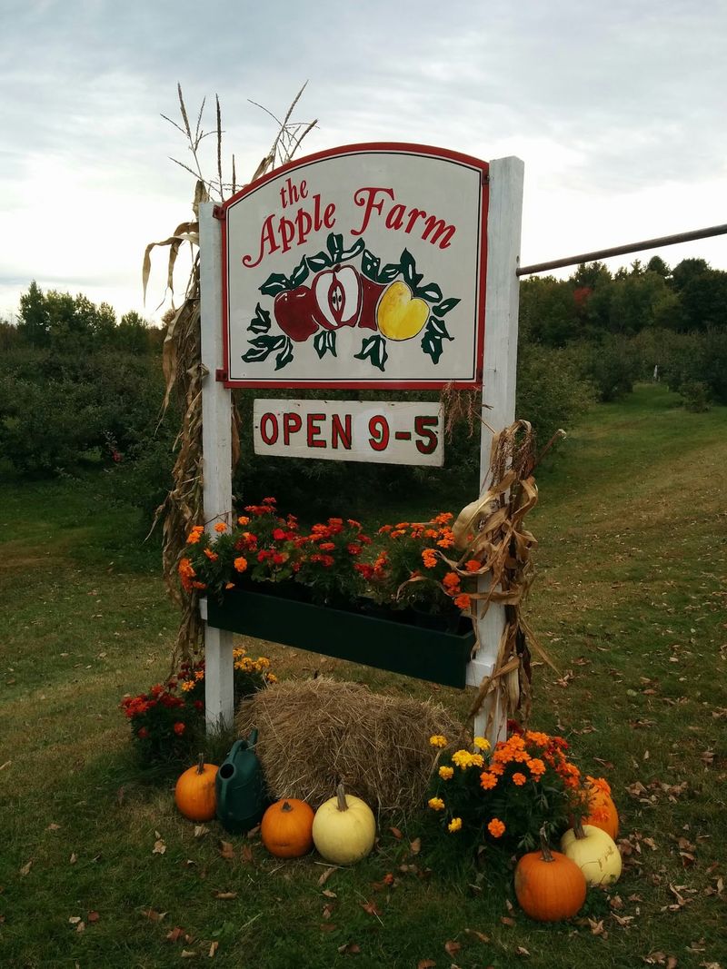 A Family Orchard With Deep Roots
