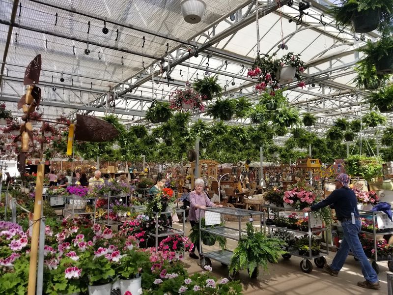A Family-Owned Business 