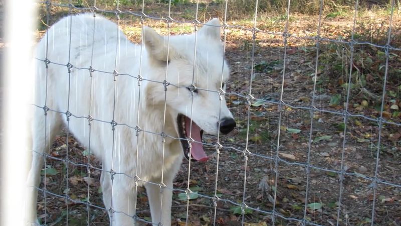 Guided Tours That Actually Teach You Something