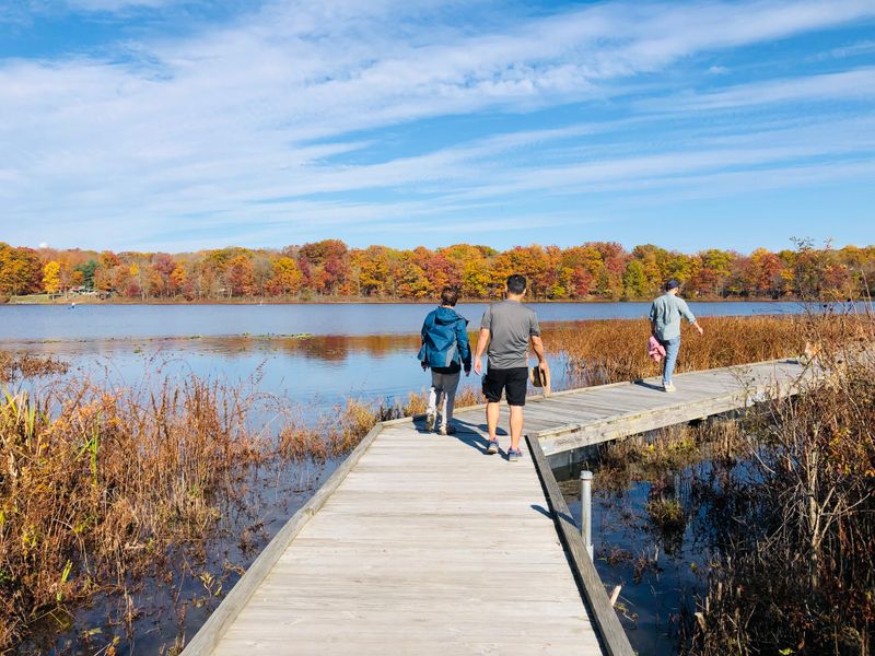 Planning Your Own Trip into the Weird Woods