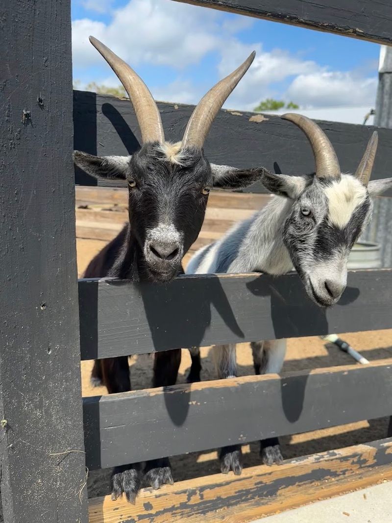 The Farm Tour Experience Is Thoughtfully Organized