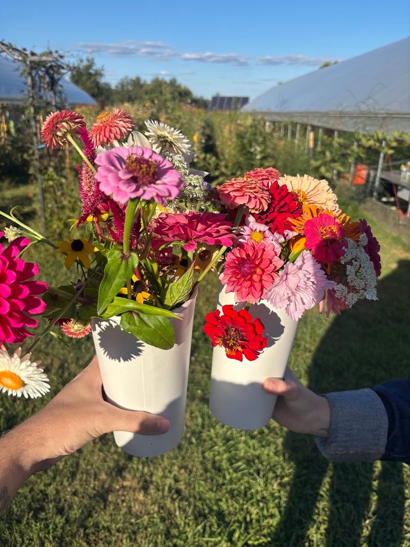 Cut-Your-Own Flowers: The Main Event