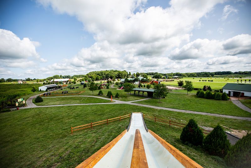 Train Ride Experience