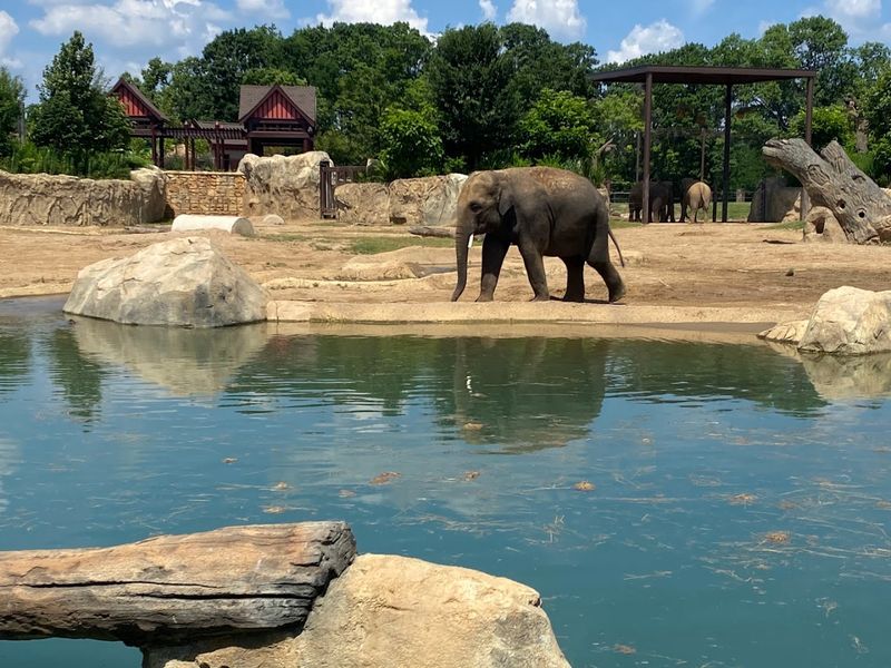 What Makes This Exhibit Stand Out Nationally