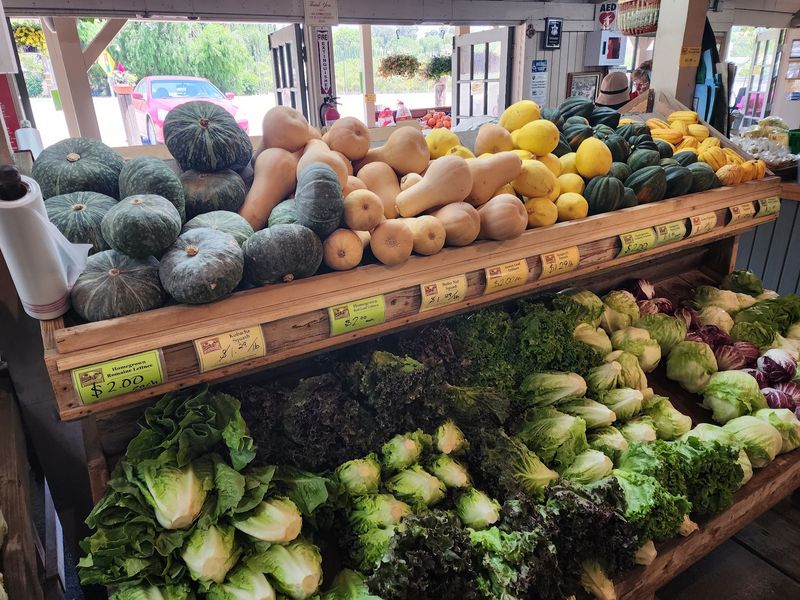 A Farm Market That Puts Supermarket Shelves To Shame A Farm Market That Puts Supermarket Shelves To Shame