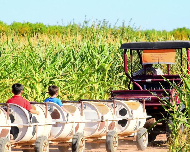 A Farm Planted One Acre At A Time