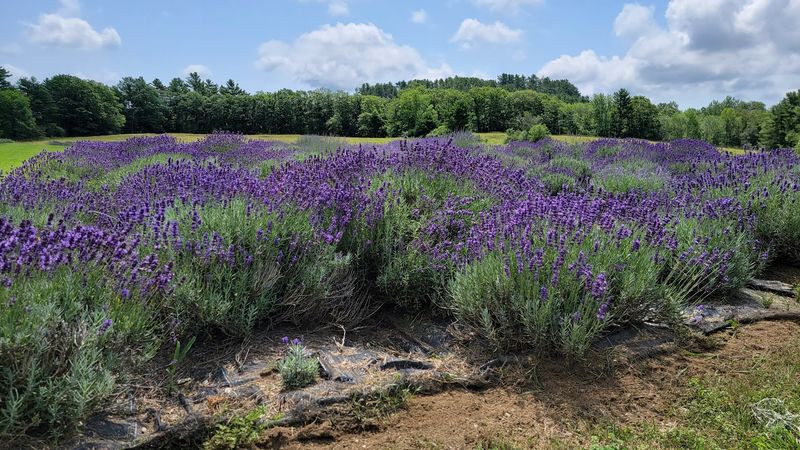 The Setting That Makes You Exhale Instantly