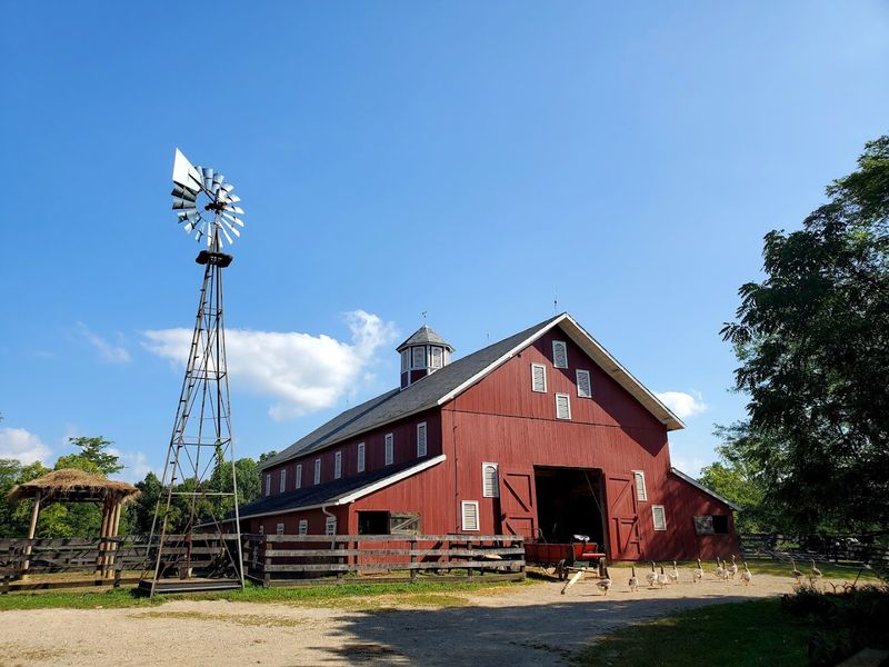 A Farm That Actually Works