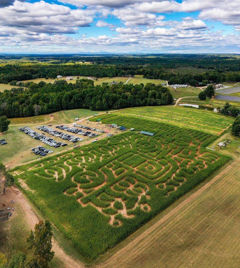 A Farm That Blends Right Into The Countryside