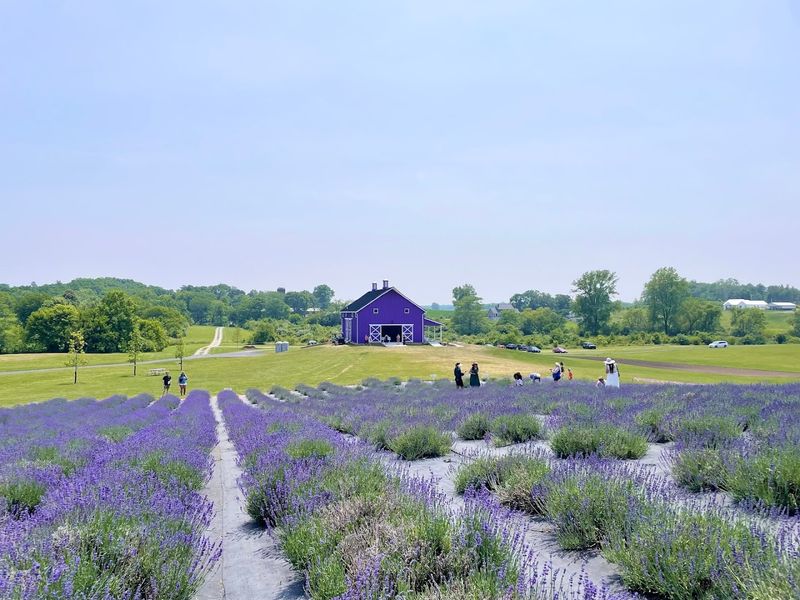 A Farm That Feels Like A Hidden World A Farm That Feels Like A Hidden World