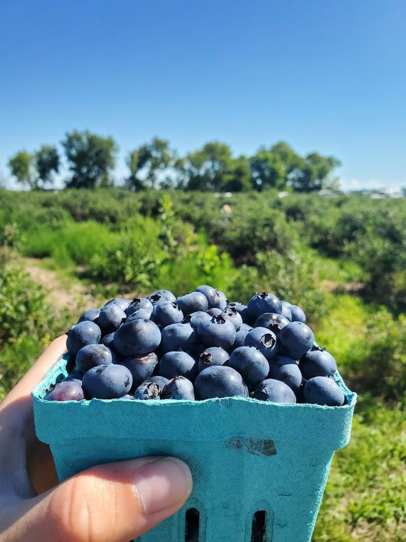 A Farm With Deep Roots And A Long Story