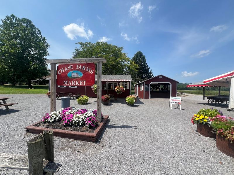 A Farm With Deep Roots In Fairport, New York