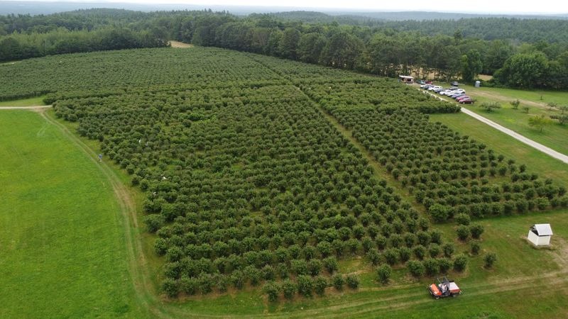 A Farm With Real Roots In Rural Maine