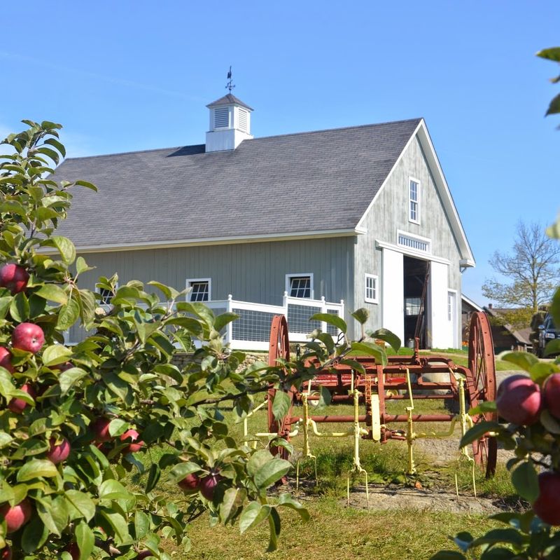 A Farm With Real Roots A Farm With Real Roots