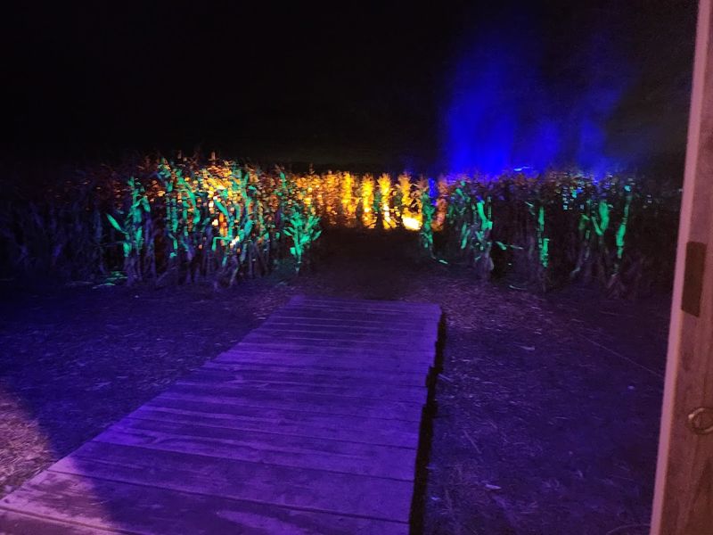 The Haunted Cornfield That People Cannot Stop Talking About