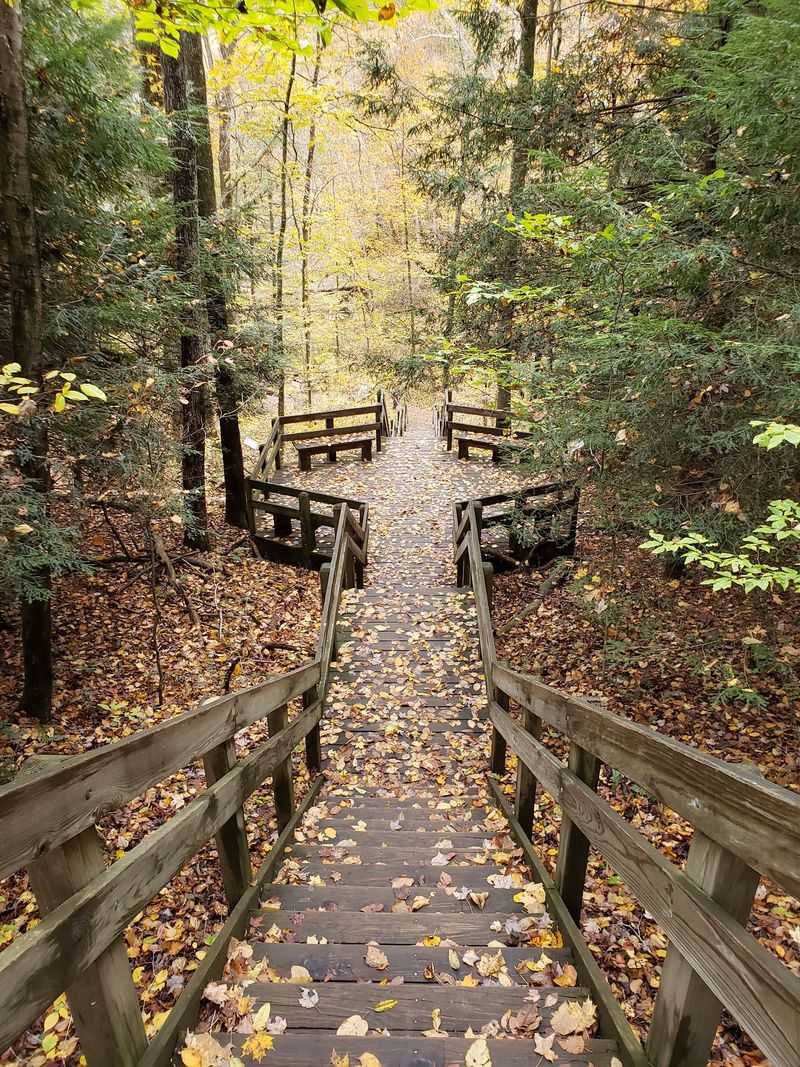 A Few Ground Rules Keep This Place So Special